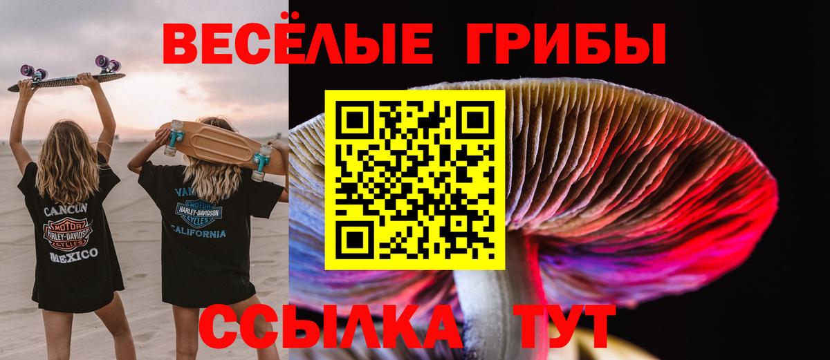 Галлюциногенные грибы прущие грибы  Галлюциногенные грибы Psilocybe  Вход с VPN  Бийск 